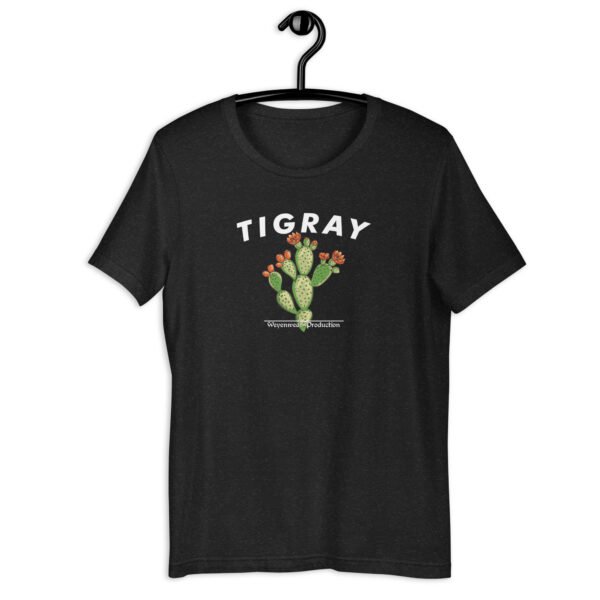unisex-staple-t-shirt-black-heather-front-68257ff0bd23b.jpg
